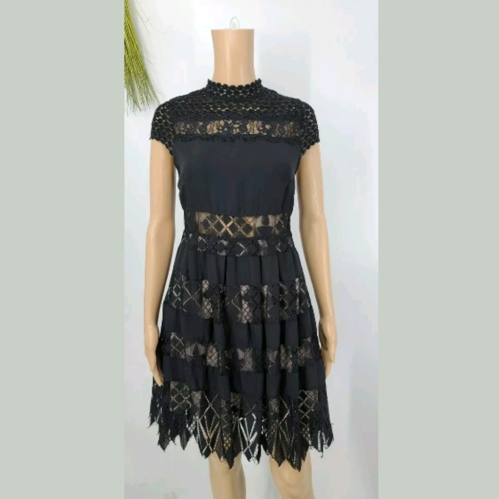 Foxiedox M Bravo Zulu Dress Paneled Fit And Flare